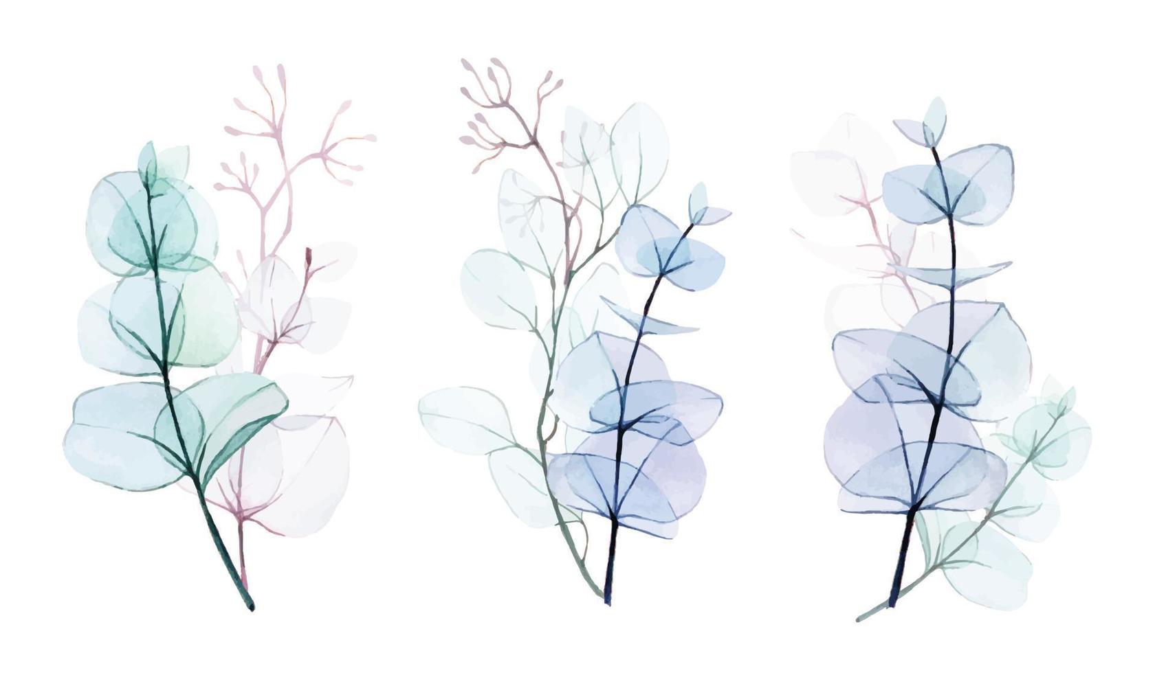 watercolor drawing, set of transparent bouquets of leaves and branches of eucalyptus isolated on white background. gentle drawing in pastel colors, design for a wedding, decoration of a greeting card vector