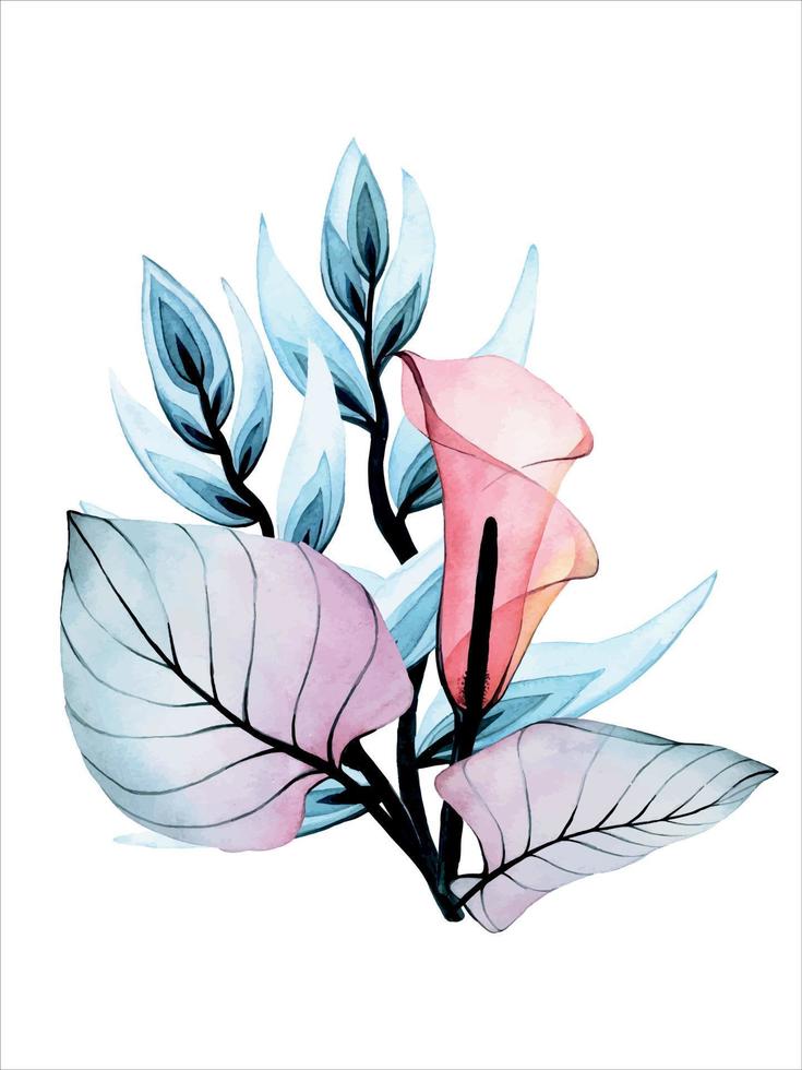 ramo, composición de flores transparentes de acuarela. aislado sobre fondo blanco flores tropicales heliconia, alcatraces, hojas, colores rosa y azul. vector