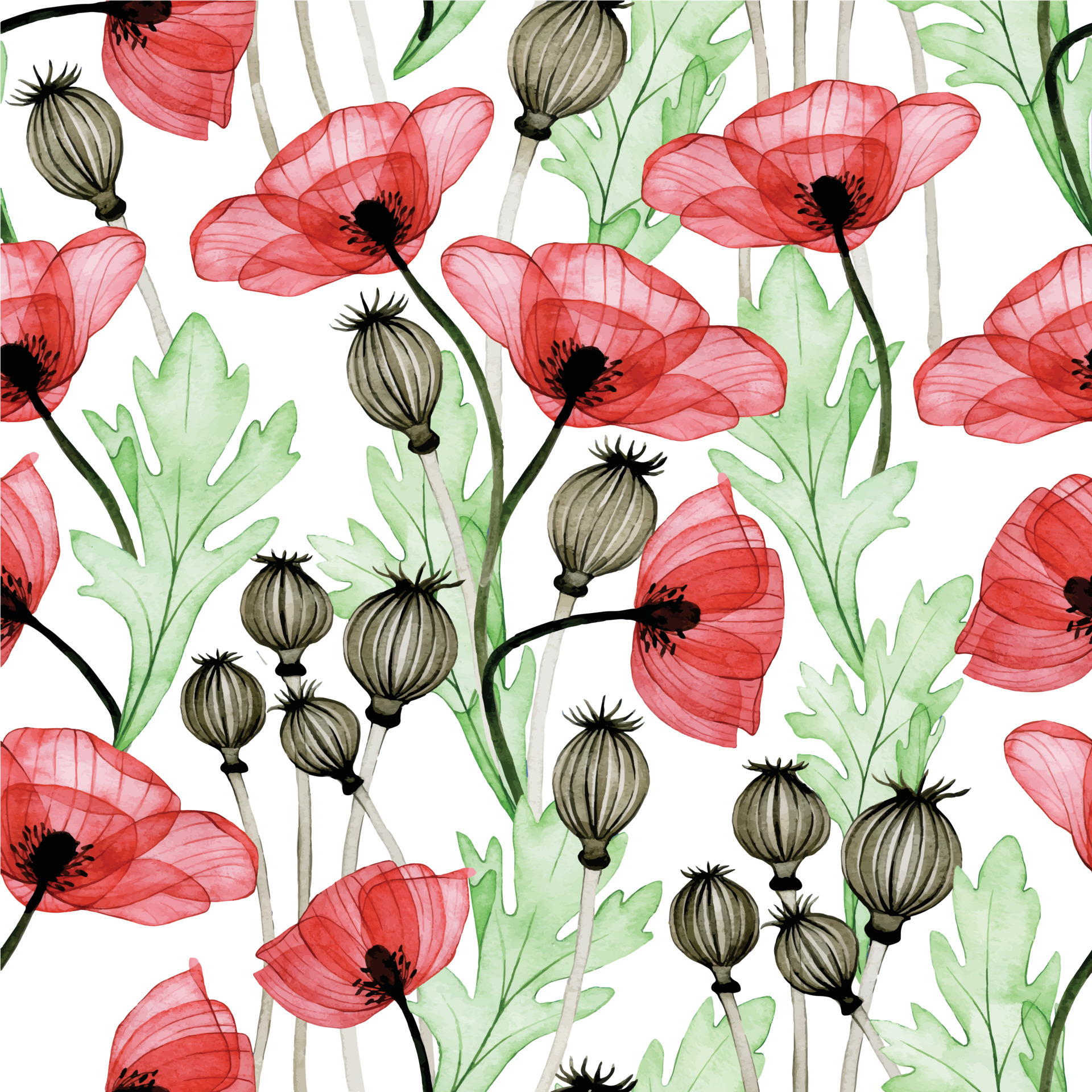 Red poppy flower flowers poppies red flowers HD wallpaper  Wallpaper  Flare