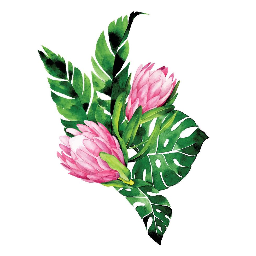 dibujo acuarela ramo de flores tropicales y hojas. composición de flores de protea y hojas de palma y monstera. clipart aislado sobre fondo blanco vector