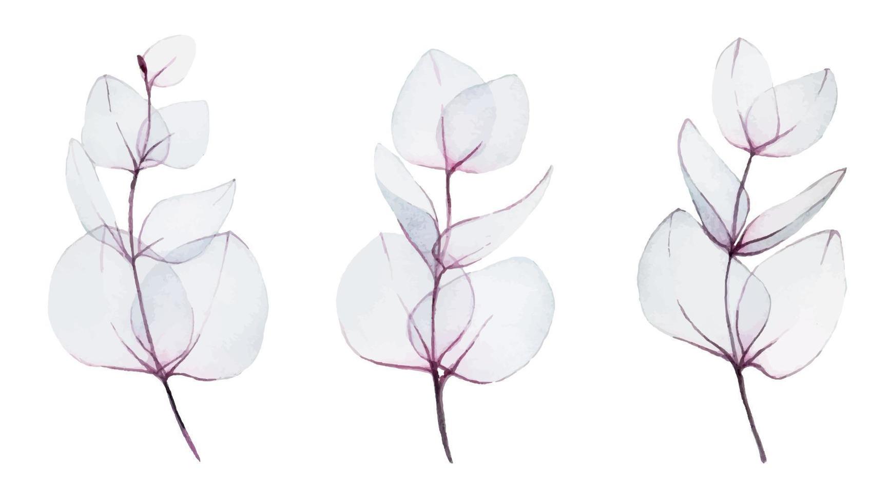 dibujo de acuarela. conjunto, colección de hojas de eucalipto transparentes abstractas. ramitas transparentes de planta de eucalipto rosa aisladas sobre fondo blanco. diseño delicado para bodas y decoración. vector