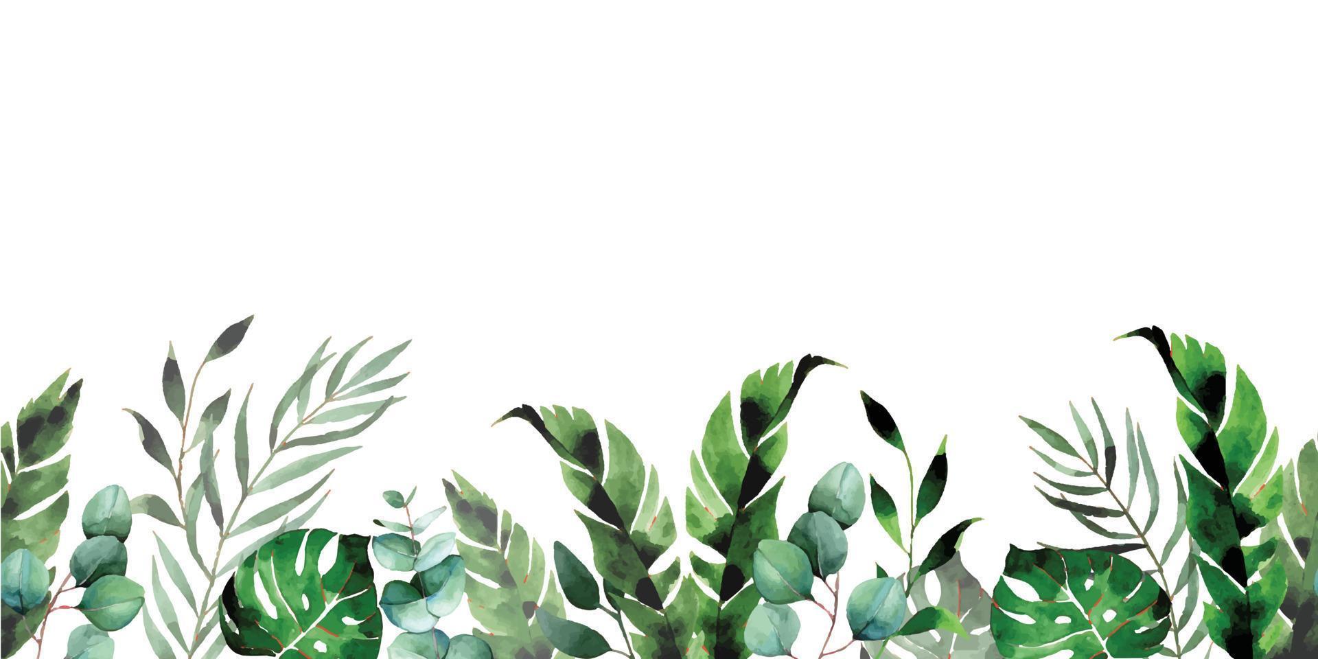 watercolor drawing. seamless border with green tropical leaves. rainforest, palm leaves, monstera, banana composition, bouquet vector