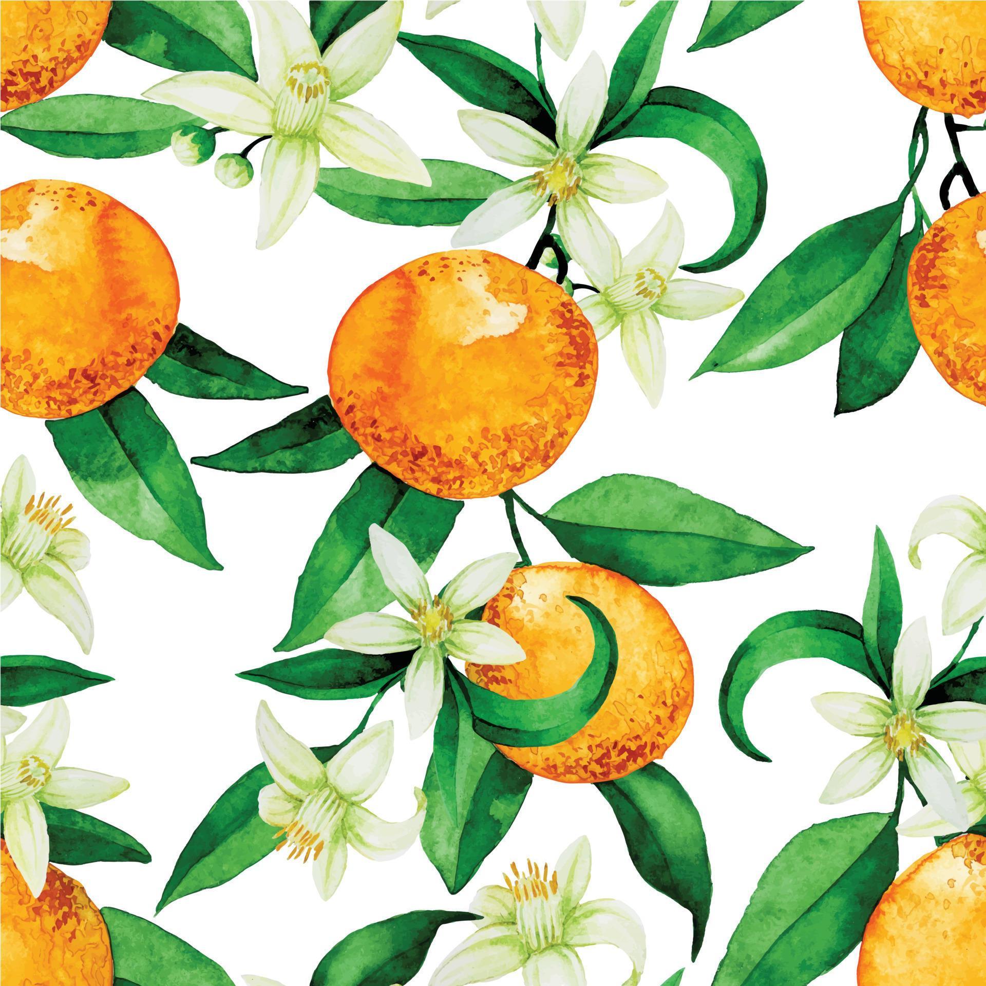 seamless watercolor pattern with oranges. orange oranges, flowers and