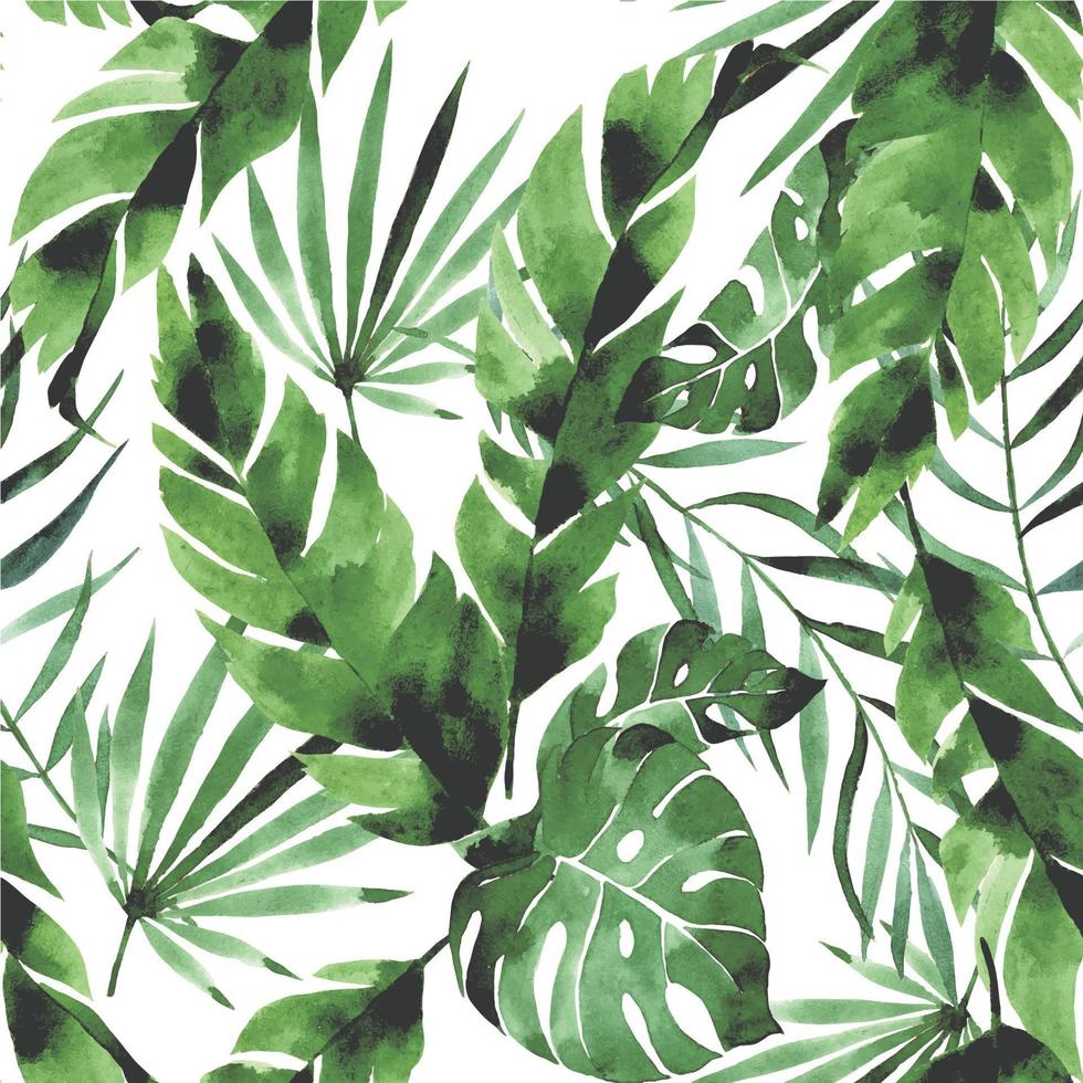 watercolor seamless pattern with tropical green leaves on white background. palm leaves, monstera, banana leaves. rainforests. vector