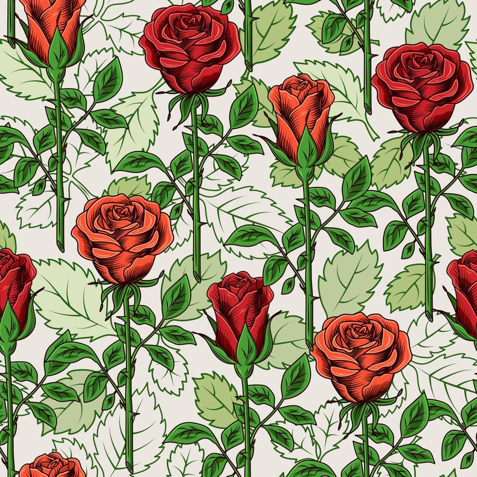 Vintage seamless pattern with lush blooming red roses with stem and leaves. Contours of green leaves on white background. Vector illustration
