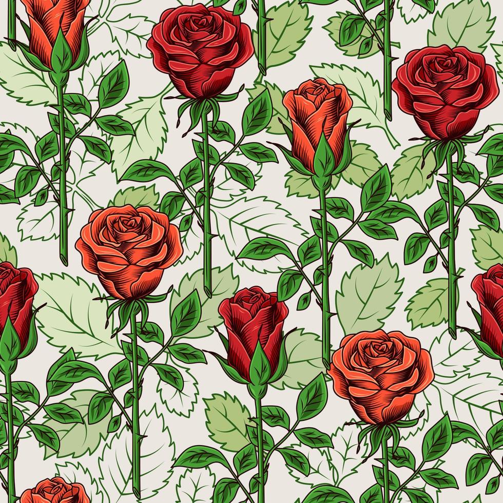 patrón vintage sin costuras con exuberantes rosas rojas florecientes con tallo y hojas. contornos de hojas verdes sobre fondo blanco. ilustración vectorial vector