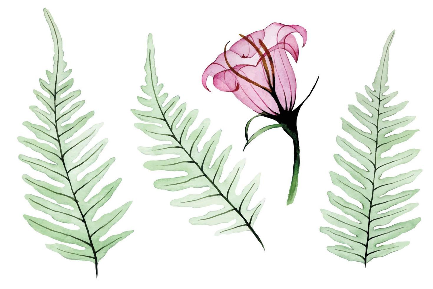 watercolor set with transparent tropical fern leaves and pink tropical flower. isolated on white background transparent flowers of pastel colors. design for cards, weddings, invitations vector