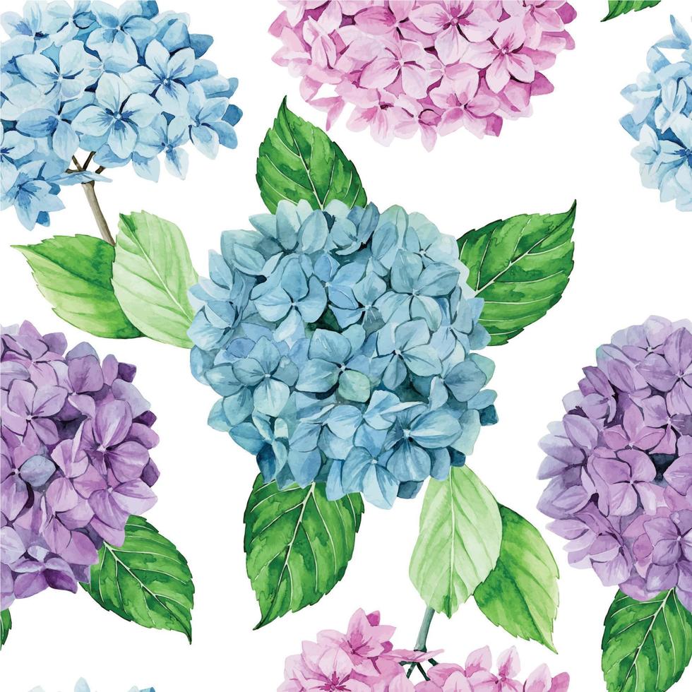 dibujo de acuarela. patrón sin costuras con flores de hortensia. aislado sobre fondo blanco flores de hortensia azul, rosa y púrpura. impresión vintage, diseño de papel tapiz, telas, álbumes de recortes. vector