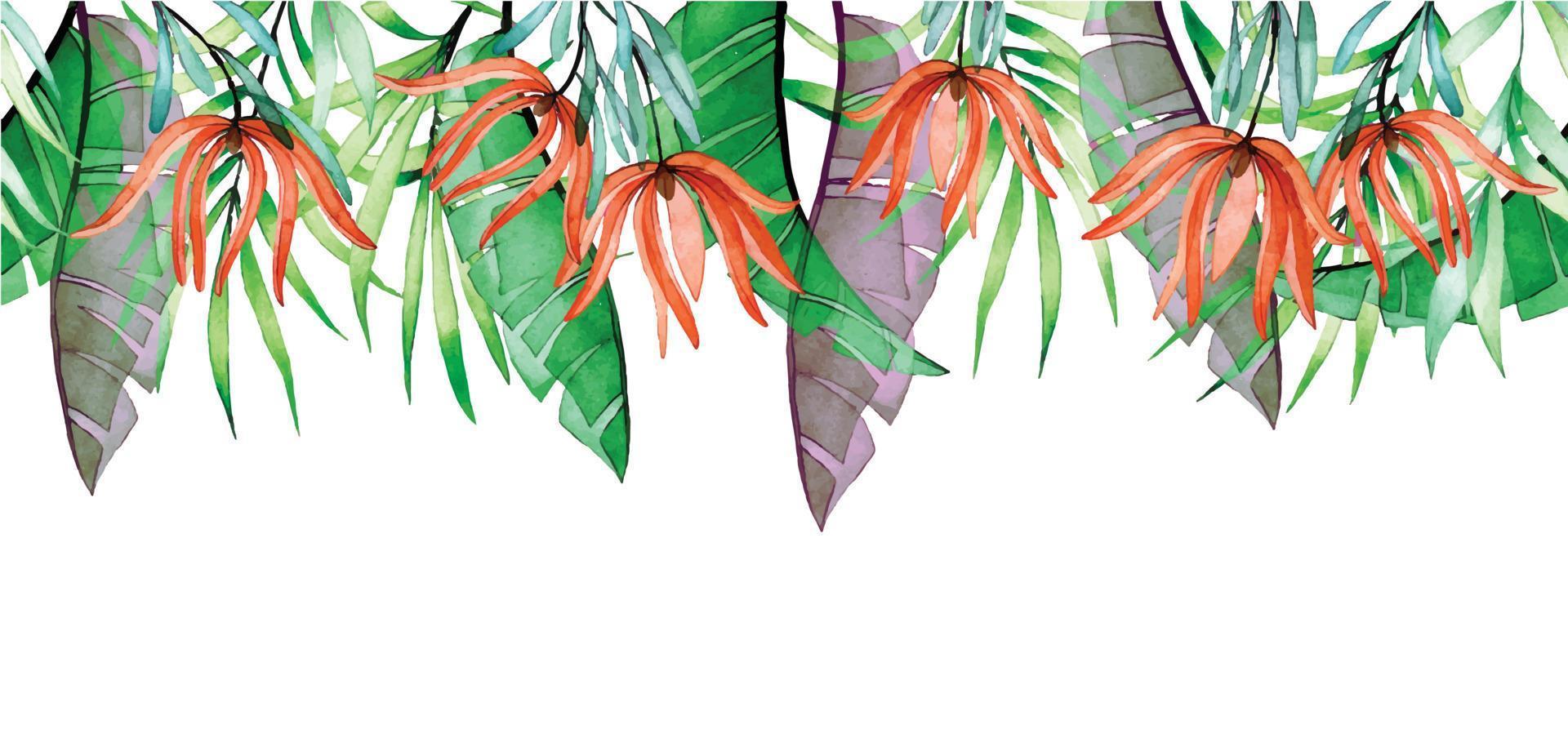 watercolor seamless border with tropical transparent flowers and leaves. palm leaves, banana, protea flowers vector