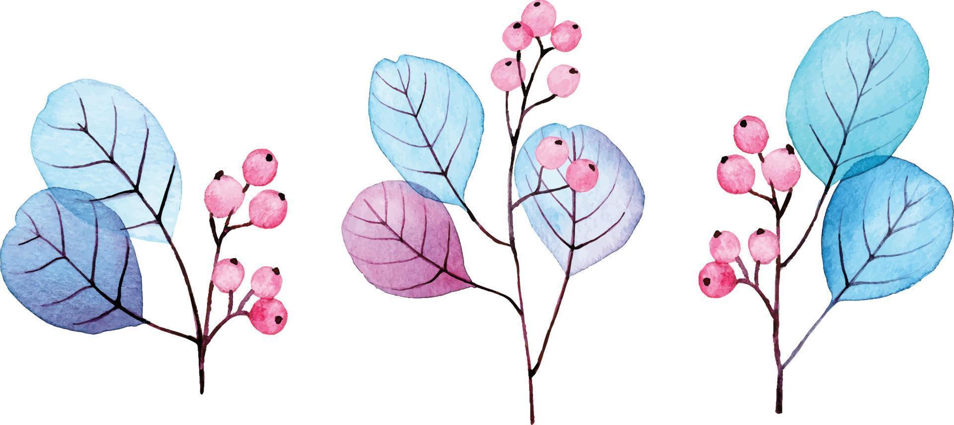 watercolor drawing. set of transparent eucalyptus leaves and blue and pink berries. abstract leaves and branches. collection for wedding decoration, greeting card vector