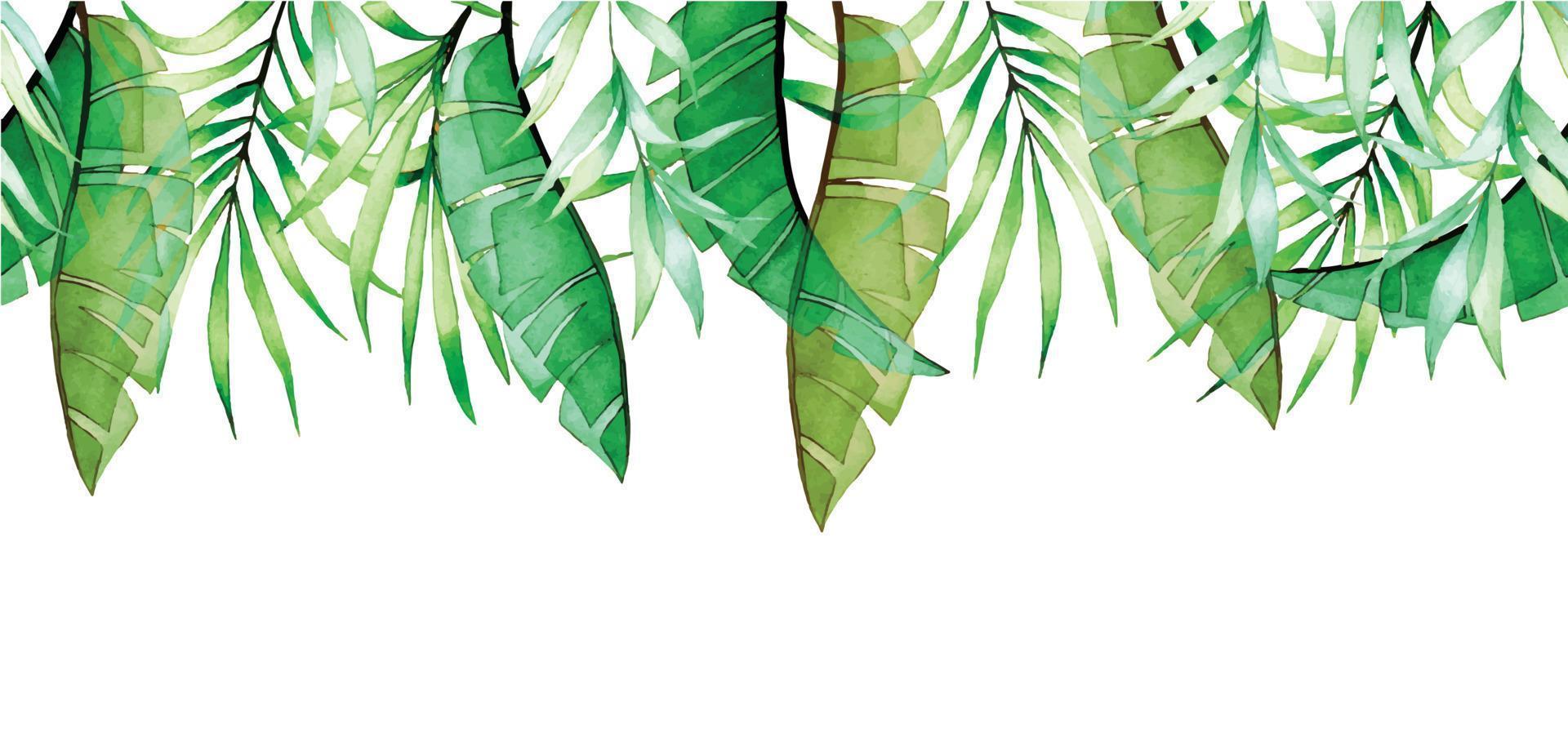 watercolor seamless border with transparent tropical leaves. green banana and palm leaves. x-ray vector
