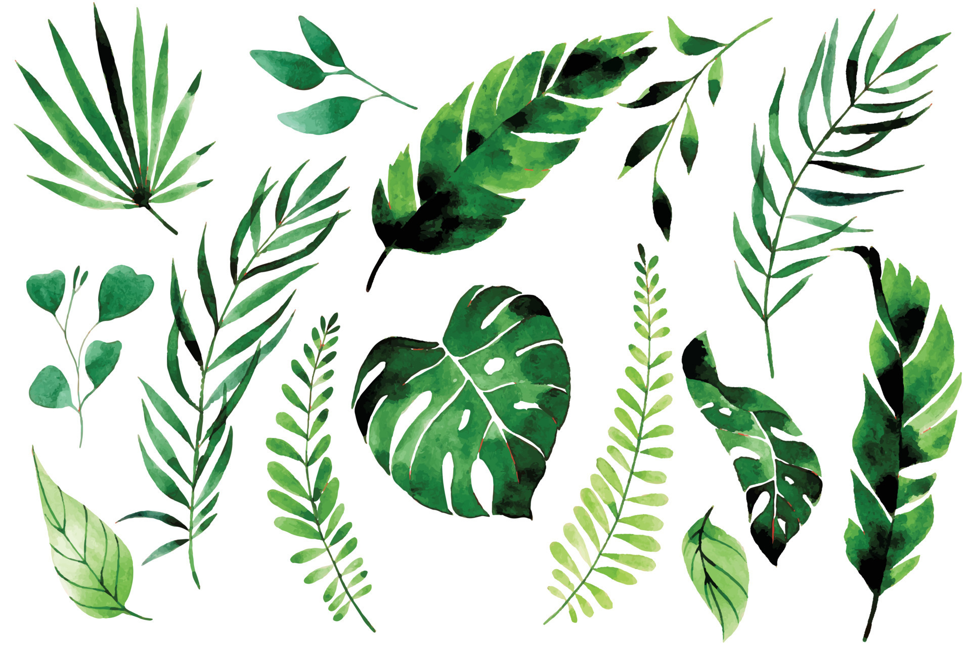 watercolor drawing. set of tropical leaves and branches. green leaves