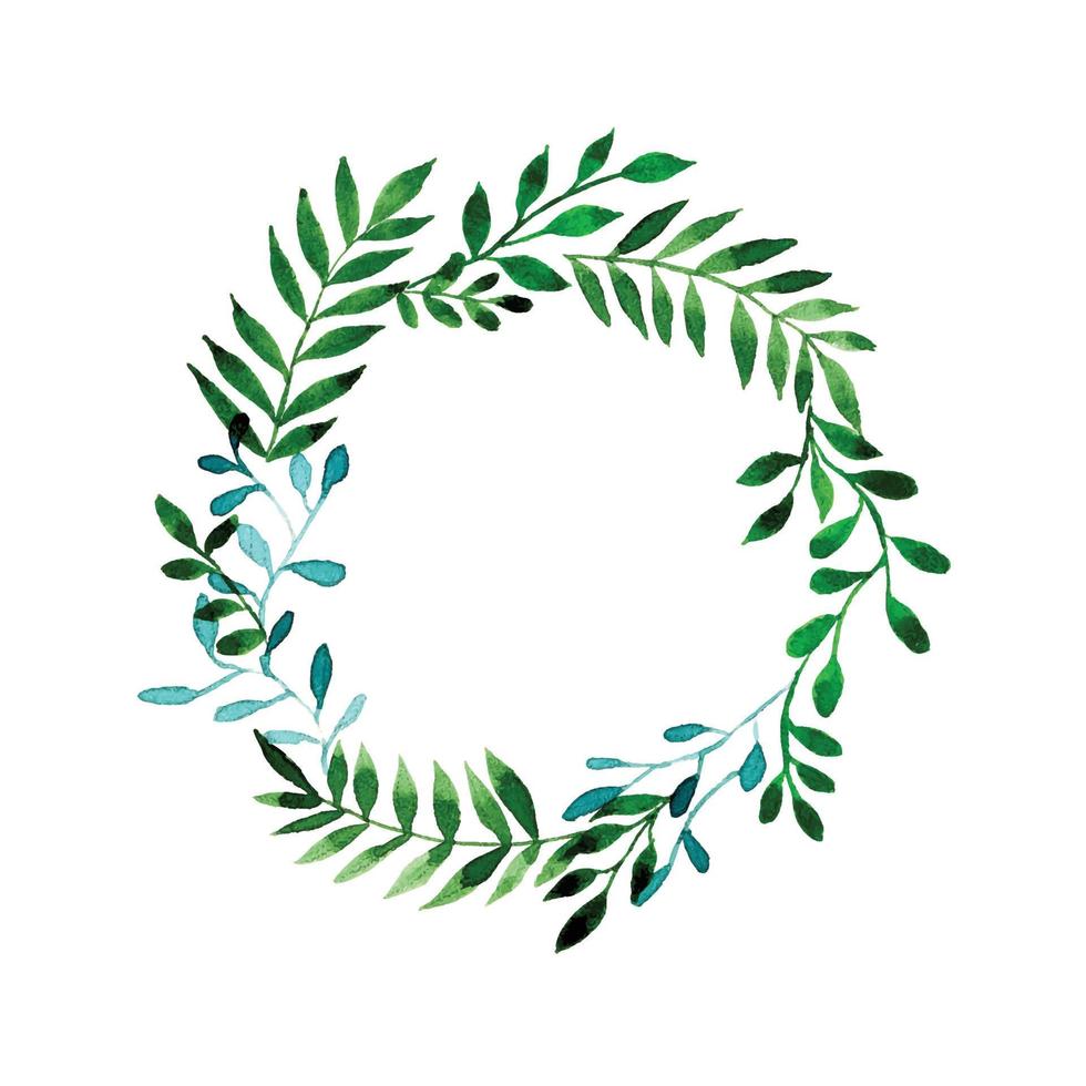 watercolor drawing. wreath, round made of leaves. abstract forest herbs and leaves, eucalyptus and fern vector