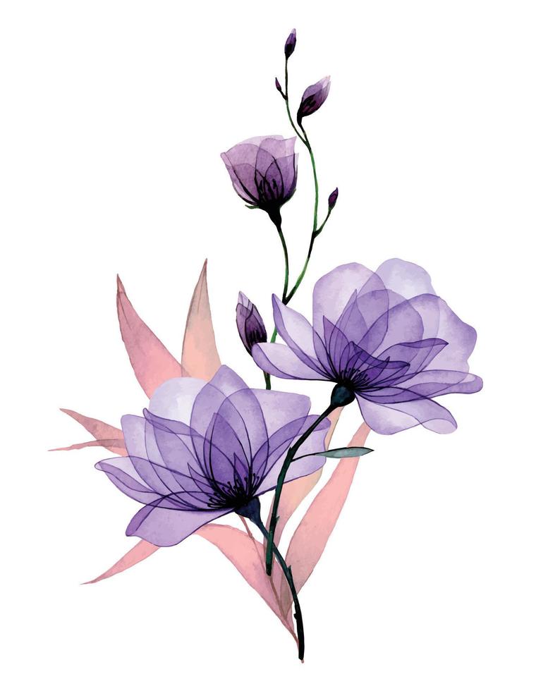 composición con flores transparentes. rosas moradas, flores y hojas de rosas silvestres. delicado patrón de rayos x vector