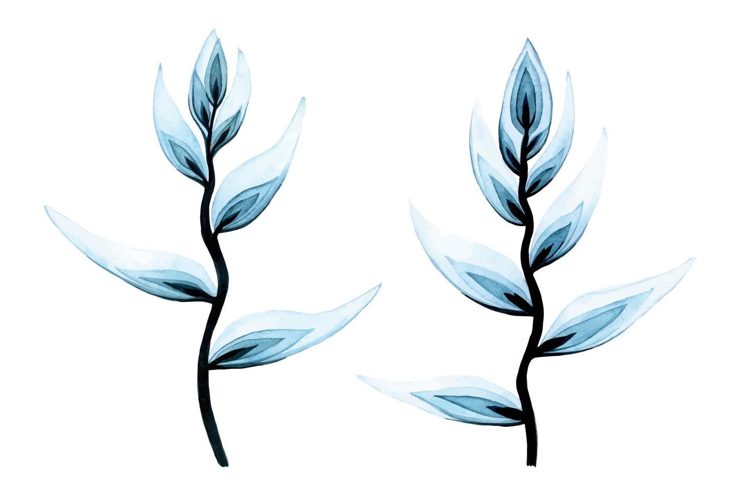 set with watercolor transparent heliconia flowers. isolated on white background transparent tropical flowers of blue color. vector
