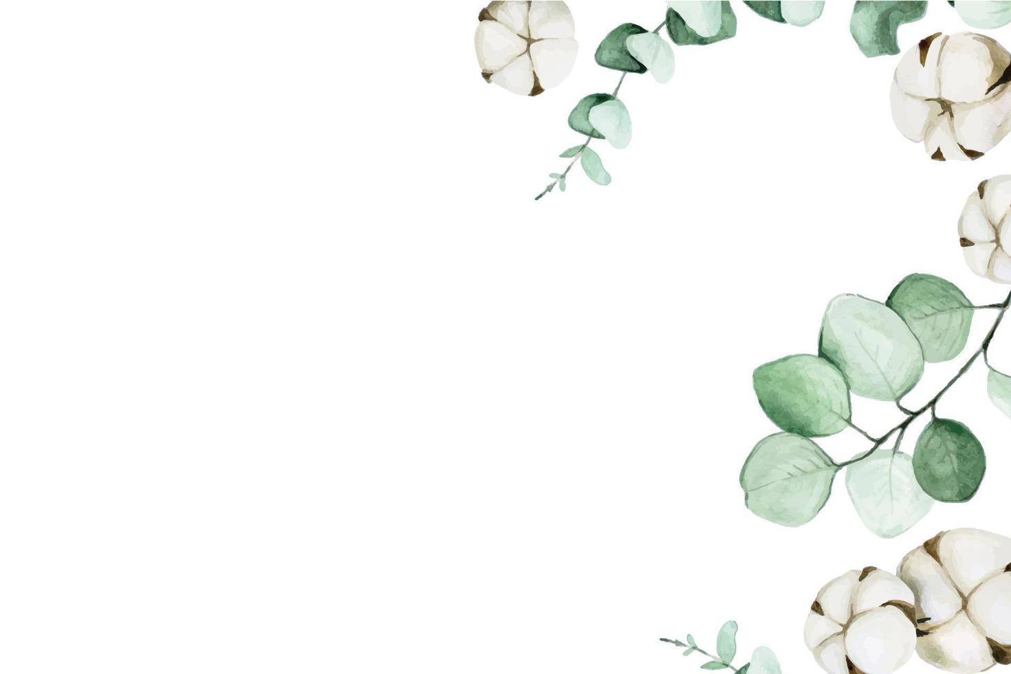 watercolor background with eucalyptus leaves and cotton. frame with cotton on a white background. flat lay. place for text, design for wedding, congratulations, postcards. ecological cosmetics vector