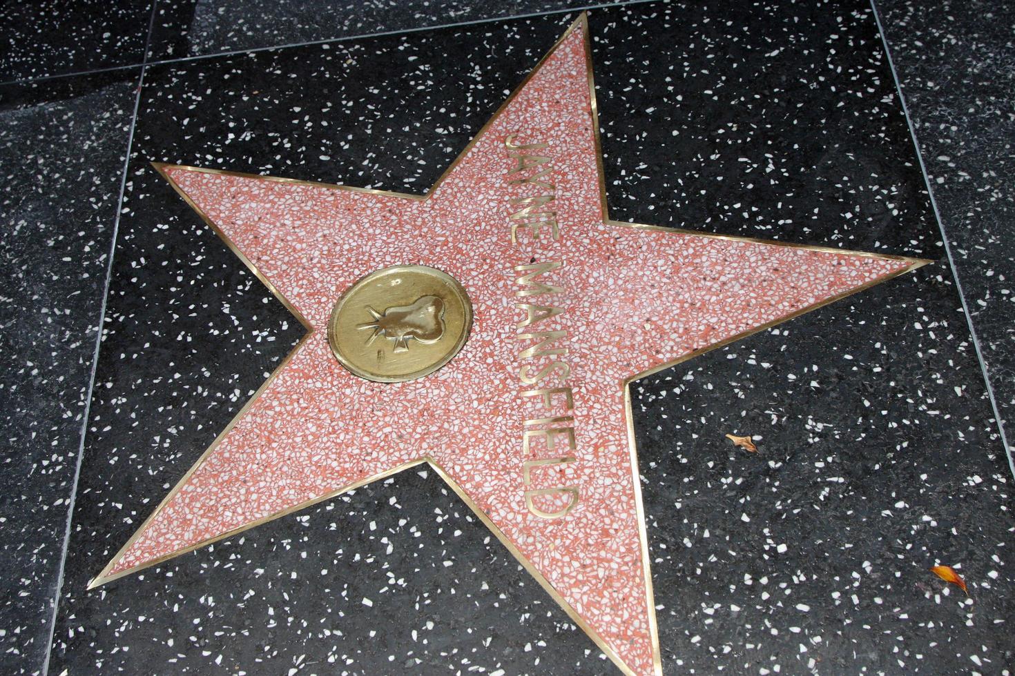 LOS ANGELES, NOV 8 -  Jayne Mansfield Star at the Mariska Hargitay Hollywood Walk of Fame Star Ceremony at Hollywood Blvd on November 8, 2013 in Los Angeles, CA photo