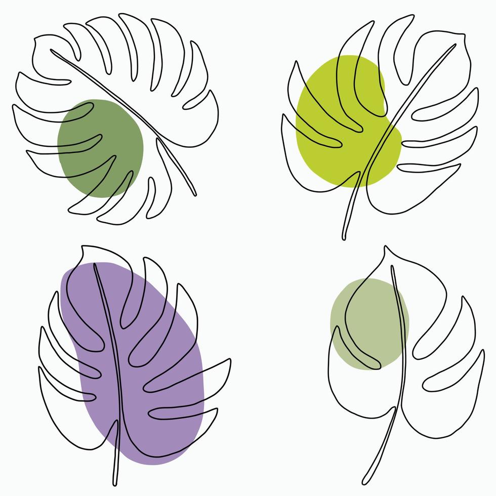 Simplicity monstera leaf freehand continuous line drawing flat design. vector