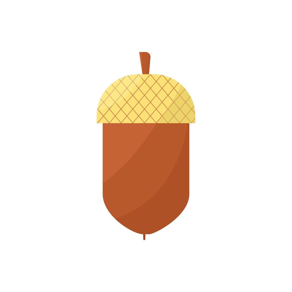 acorn vector illustrator