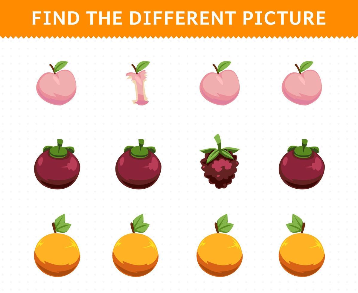 Education game for children find the different picture in each row fruits peach mangosteen dewberries orange vector