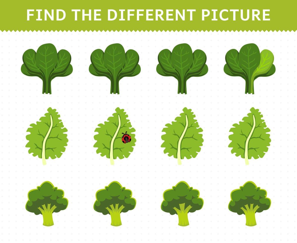 Education game for children find the different picture in each row vegetables spinach kale broccoli vector