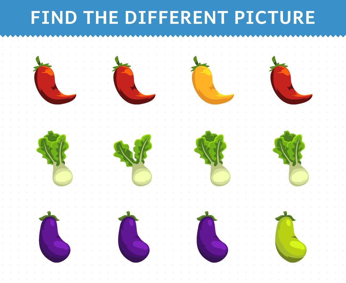 Education game for children find the different picture in each row vegetables chilli lettuce eggplant vector