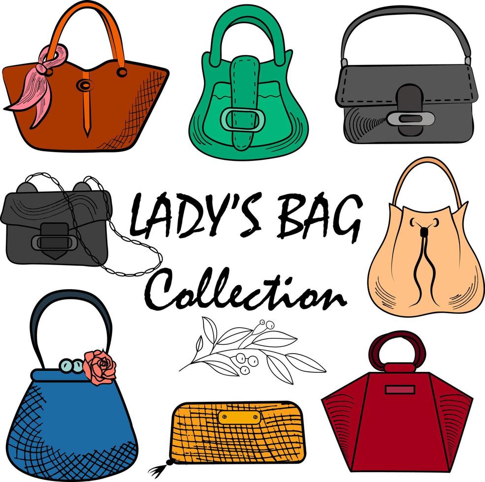 Lady's bag collection woman fashion vector