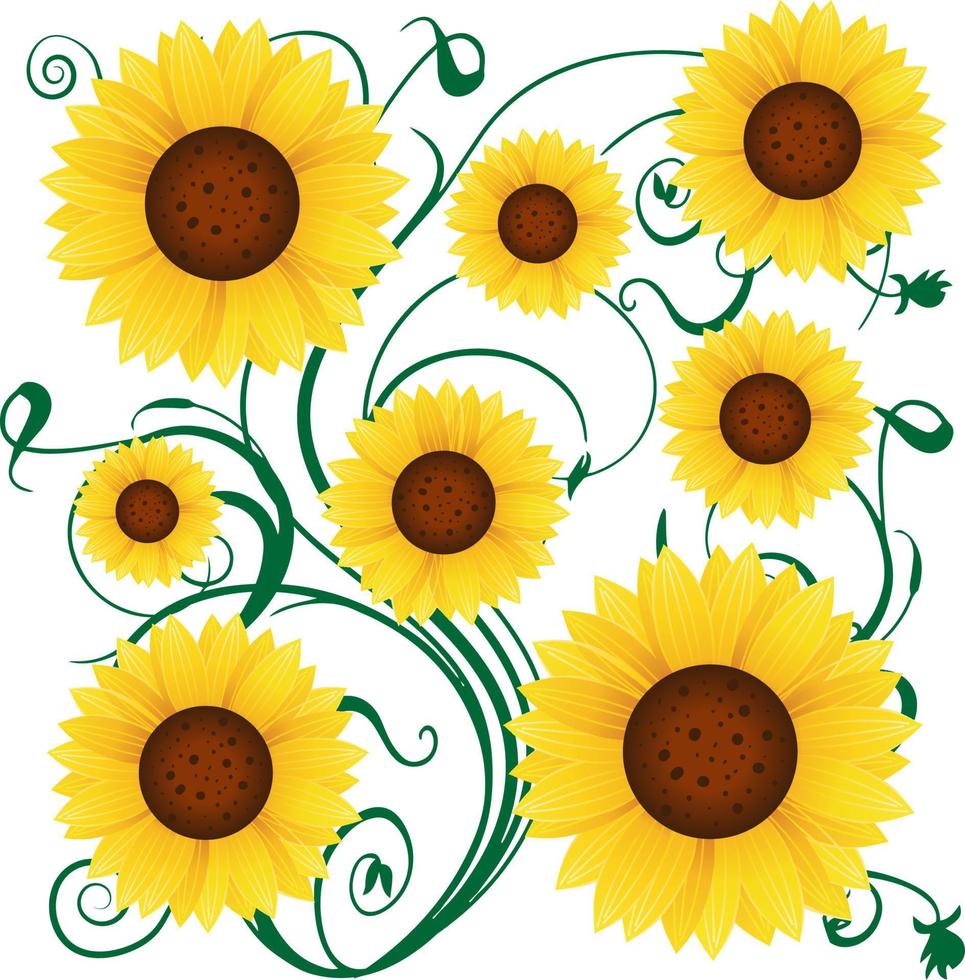 Sunflower pattern background vector