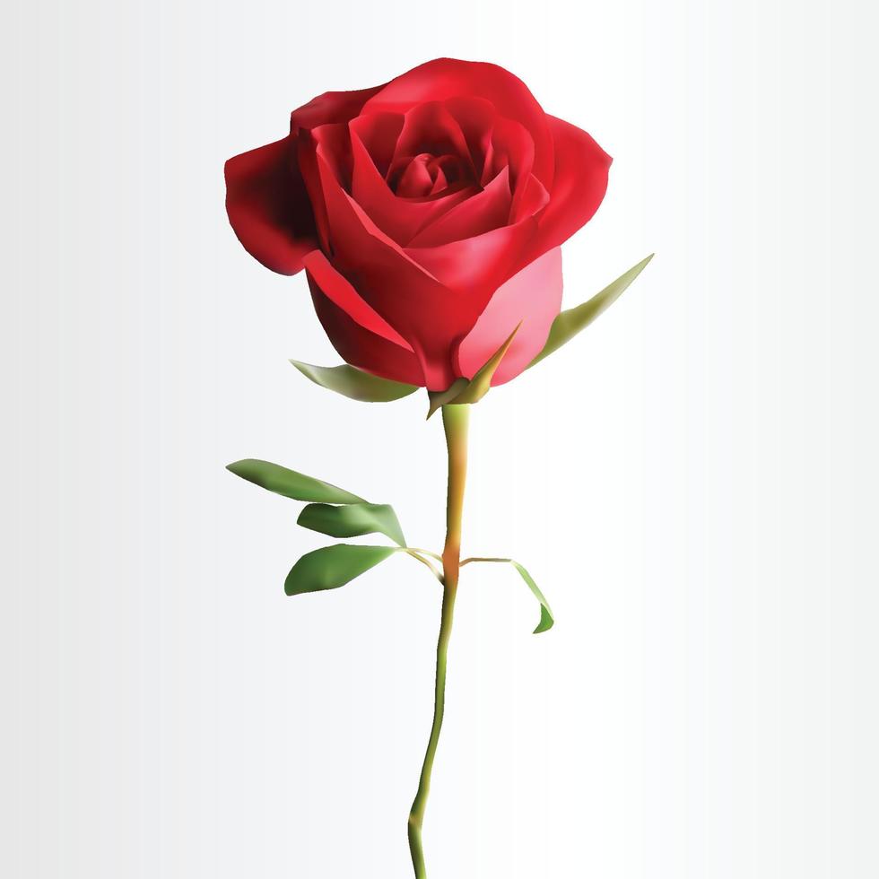 Realistic Red Rose Flower vector