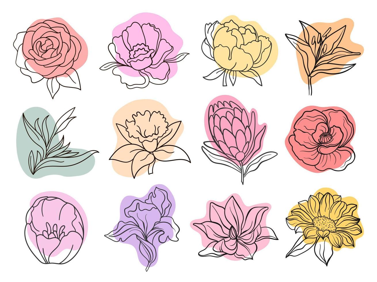 flores de gráficos vectoriales de una línea negra con manchas de colores vector