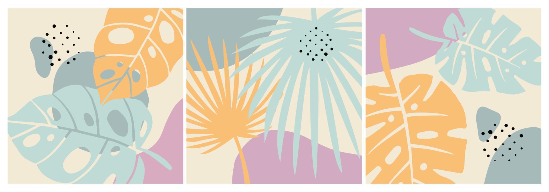 three abstract backgrounds tropical leaf vector