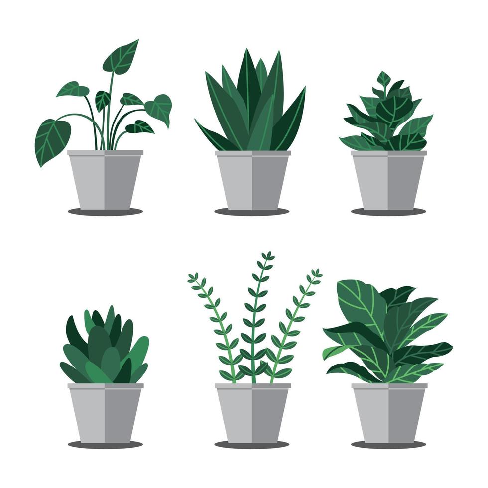 interior plants vector