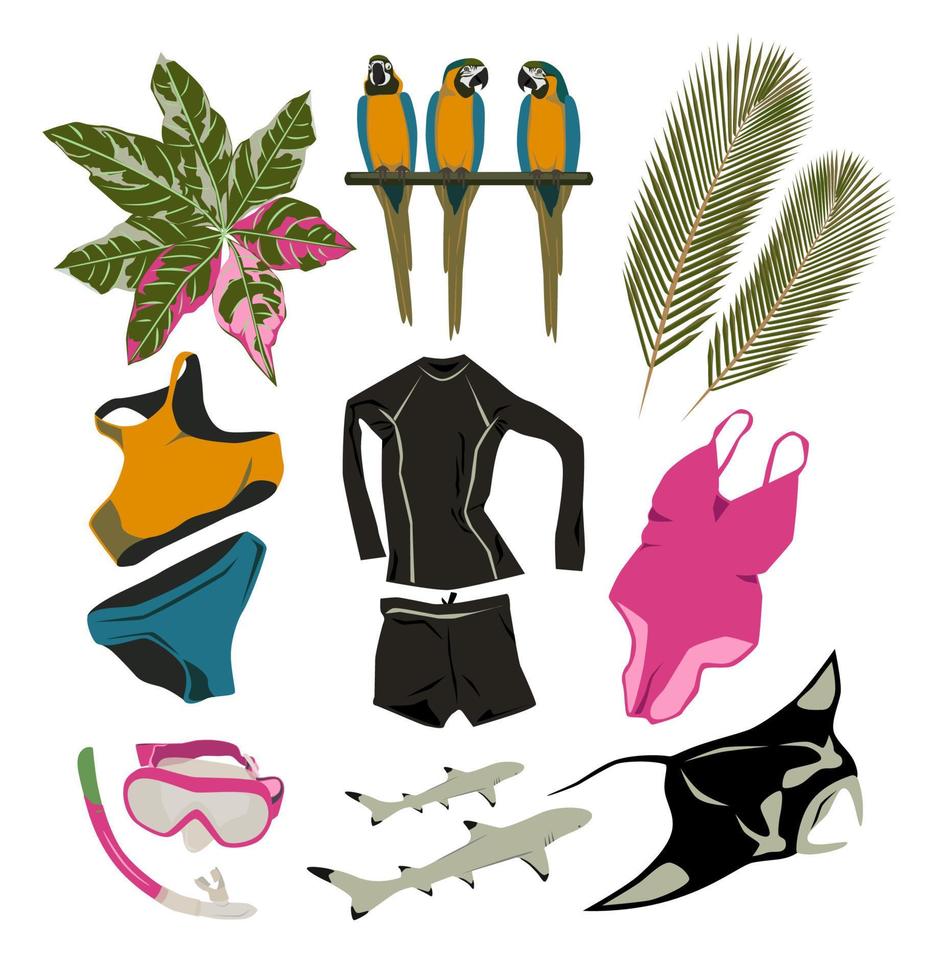 summer items set from tropical plants, parrots, swimming suit for surfing, swimming mask, snorkel, manta, reef sharks isolated, active holidays objects vector illustration