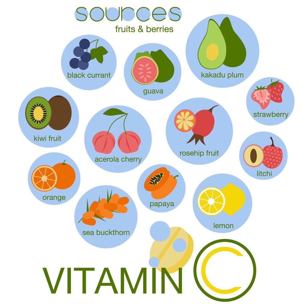 Vitamin C sources. Fruits and berries set. Black currant, guava, kakadu plum, acerola cherry, strawberry, kiwi, papaya, orange, rosehip, sea buckthorn, litchi lemon vector