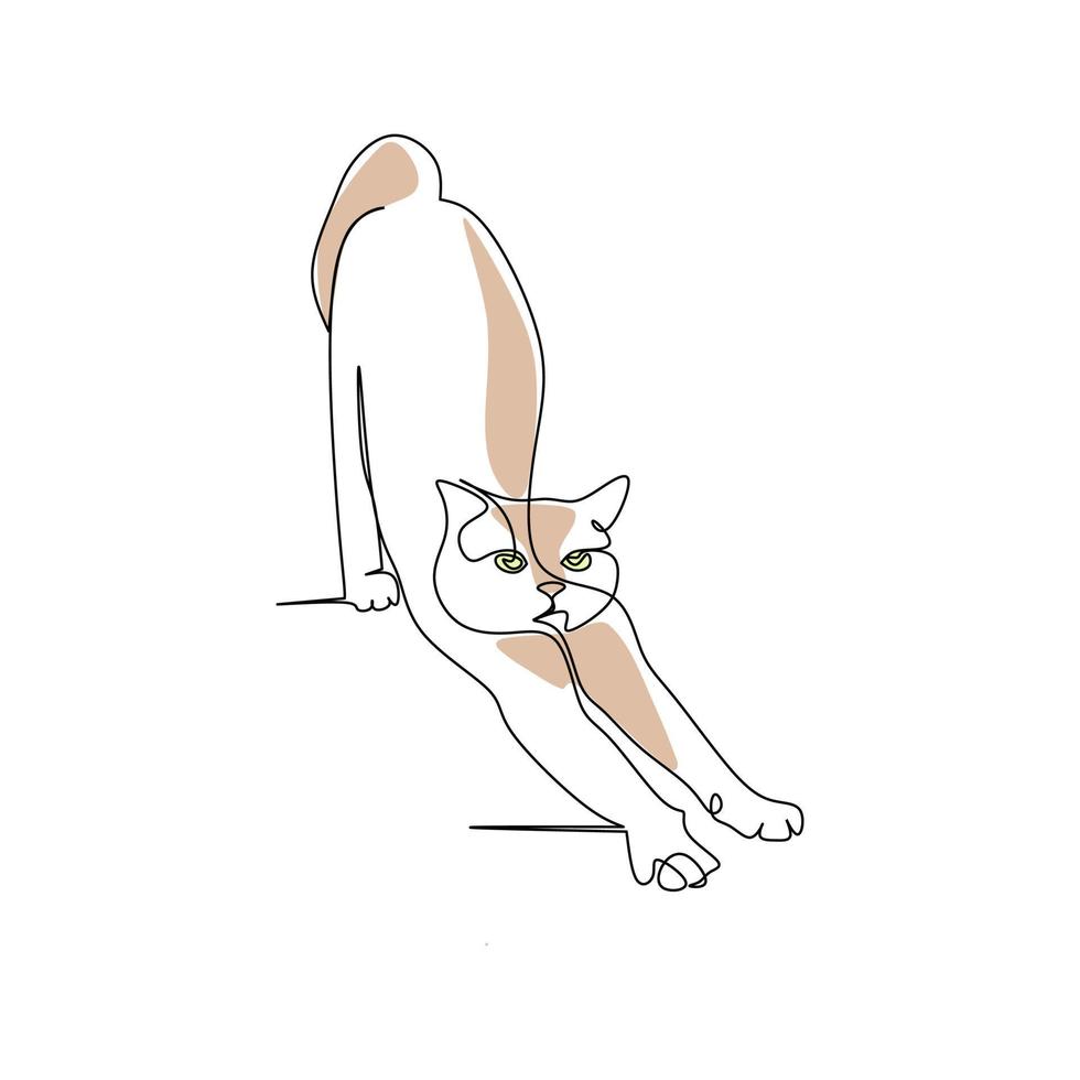 Cat vector illustration drawn in line art style