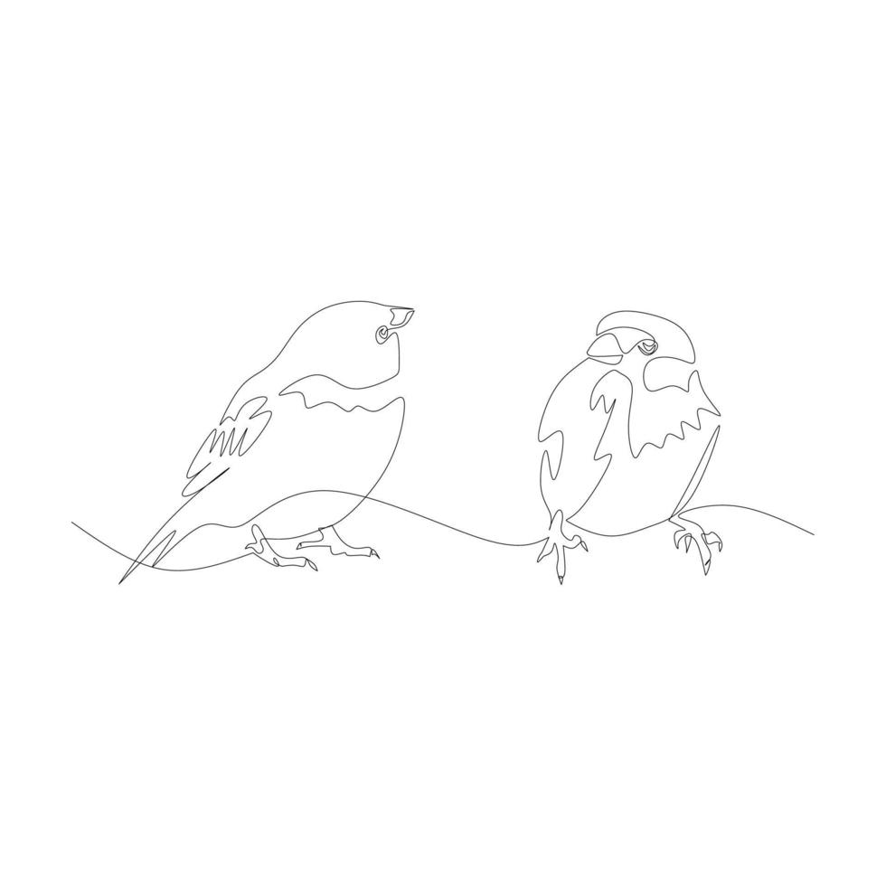 Vector illustration of two sparrows drawn in line art style