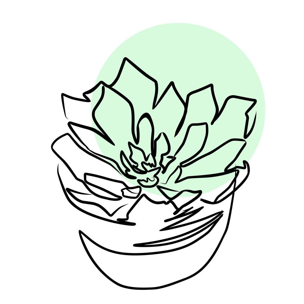 Vector illustration of home plant.  Line art