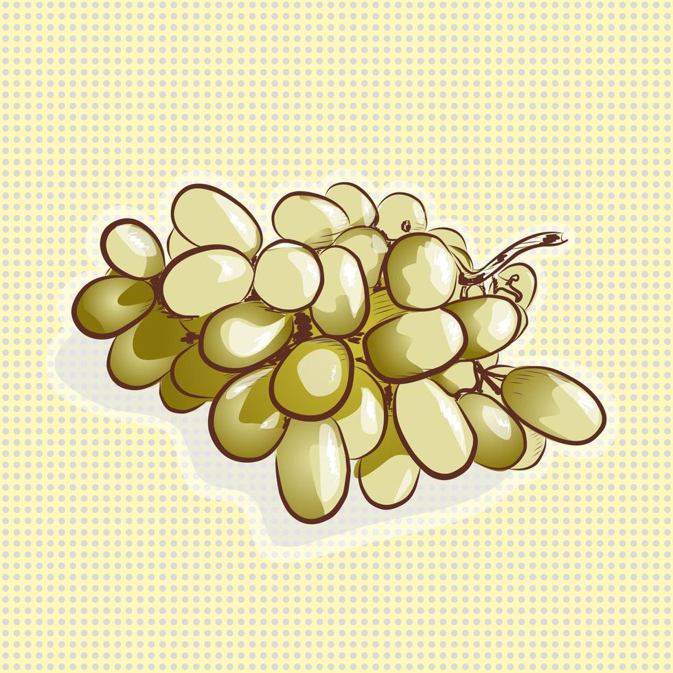 Vector illustration with white grape sketch. Hand drawn picture