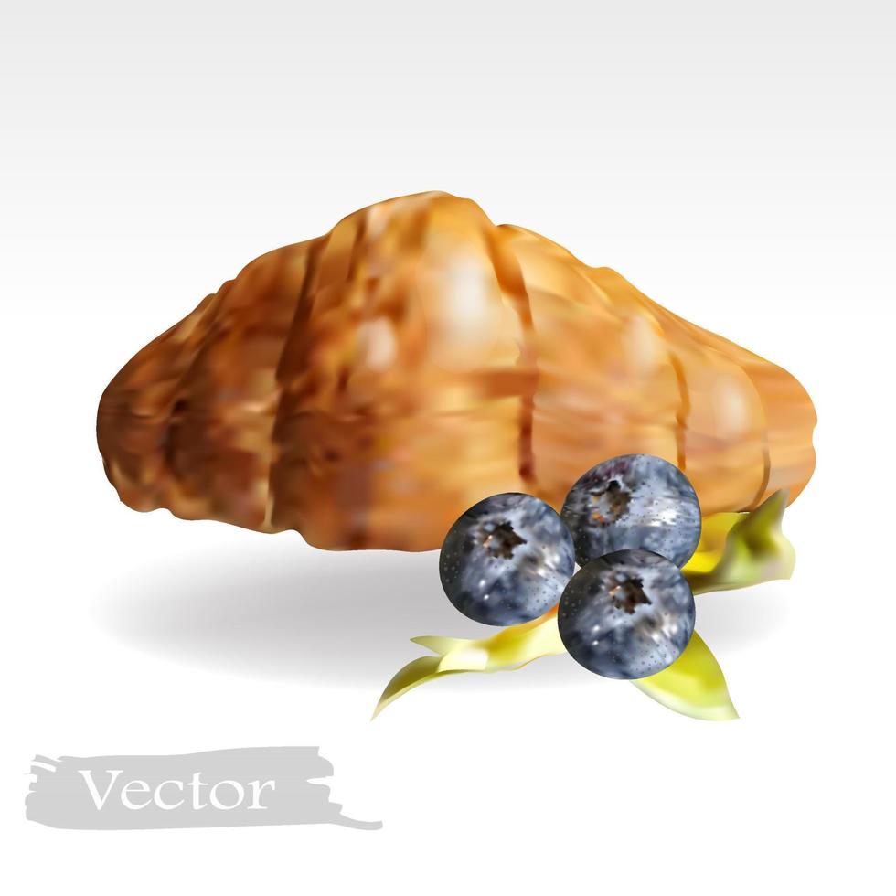 Croissant and blueberry vector illustration