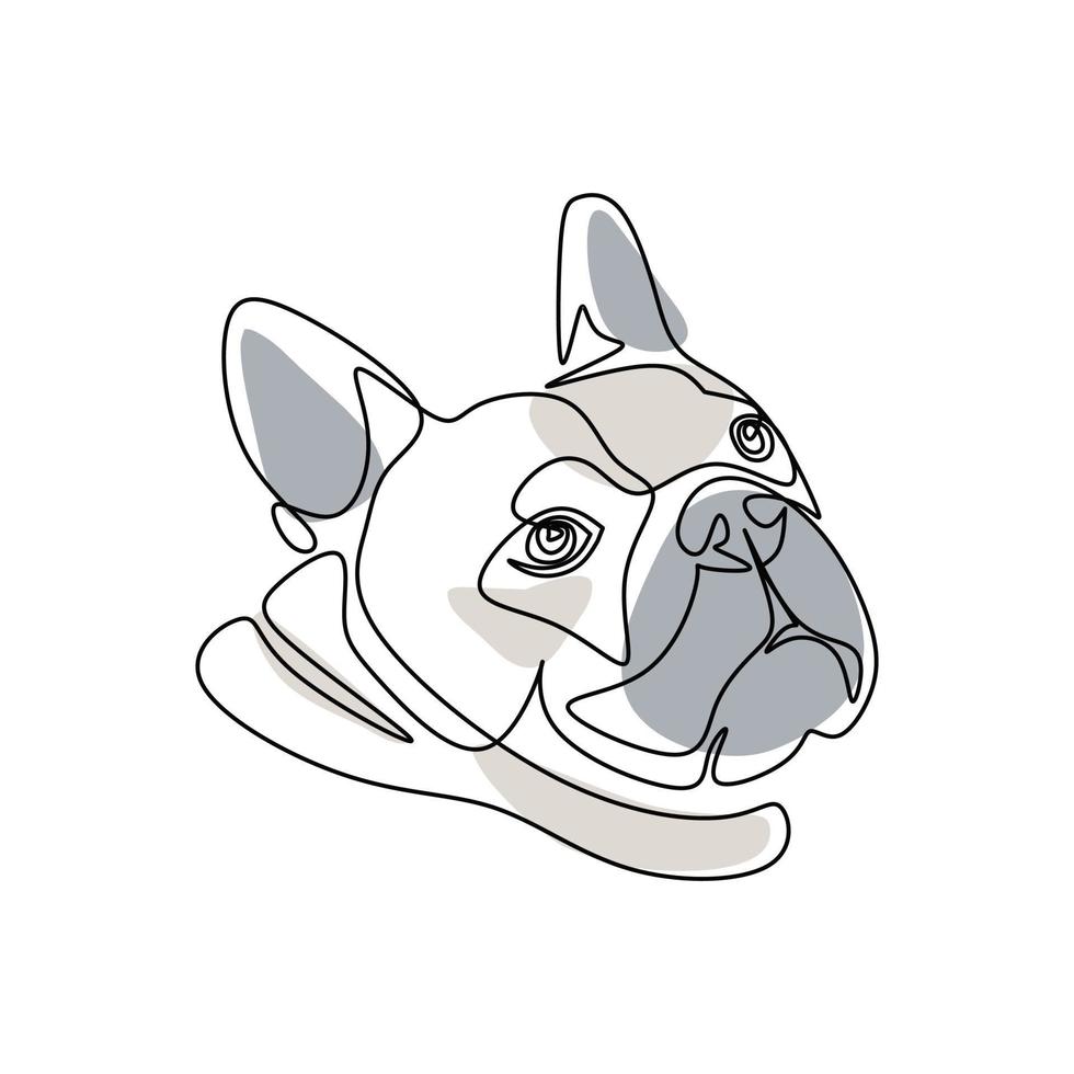 ilustración vectorial del retrato de bulldog inglés vector