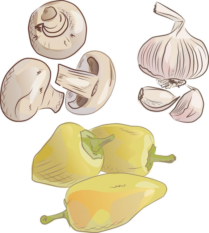 Vegetable set. Champignon, garlic and  pepper. Hand drawn vector illustration
