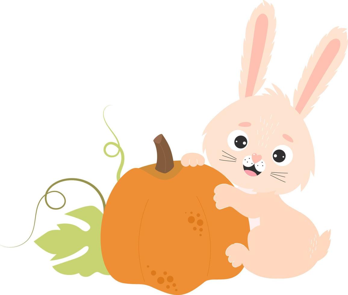 Cute rabbit and pumpkin vector