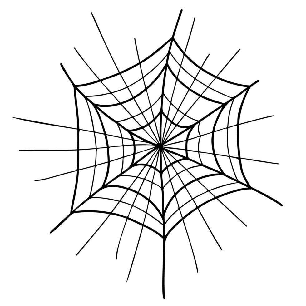Spiderweb. Halloween cobweb. Close up. Linear hand drawing. Vector illustration