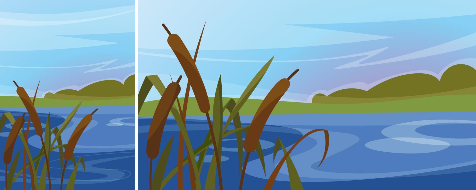 Landscape with reeds on the river. Natural scenery in different formats. vector