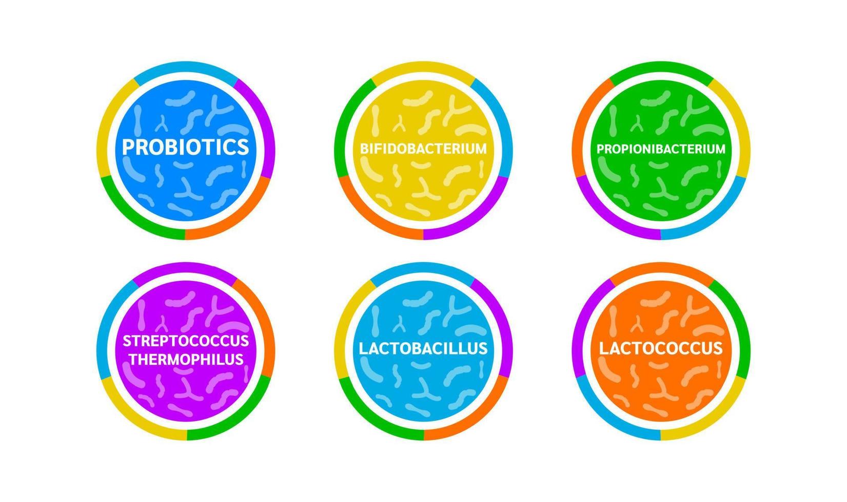 Probiotics lactic acid bacterium in milk, yogurt. Label Bifidobacterium, lactobacillus, streptococcus thermophilus, lactococcus, propionibacterium. Digestion healthcare concept. Vector EPS10.