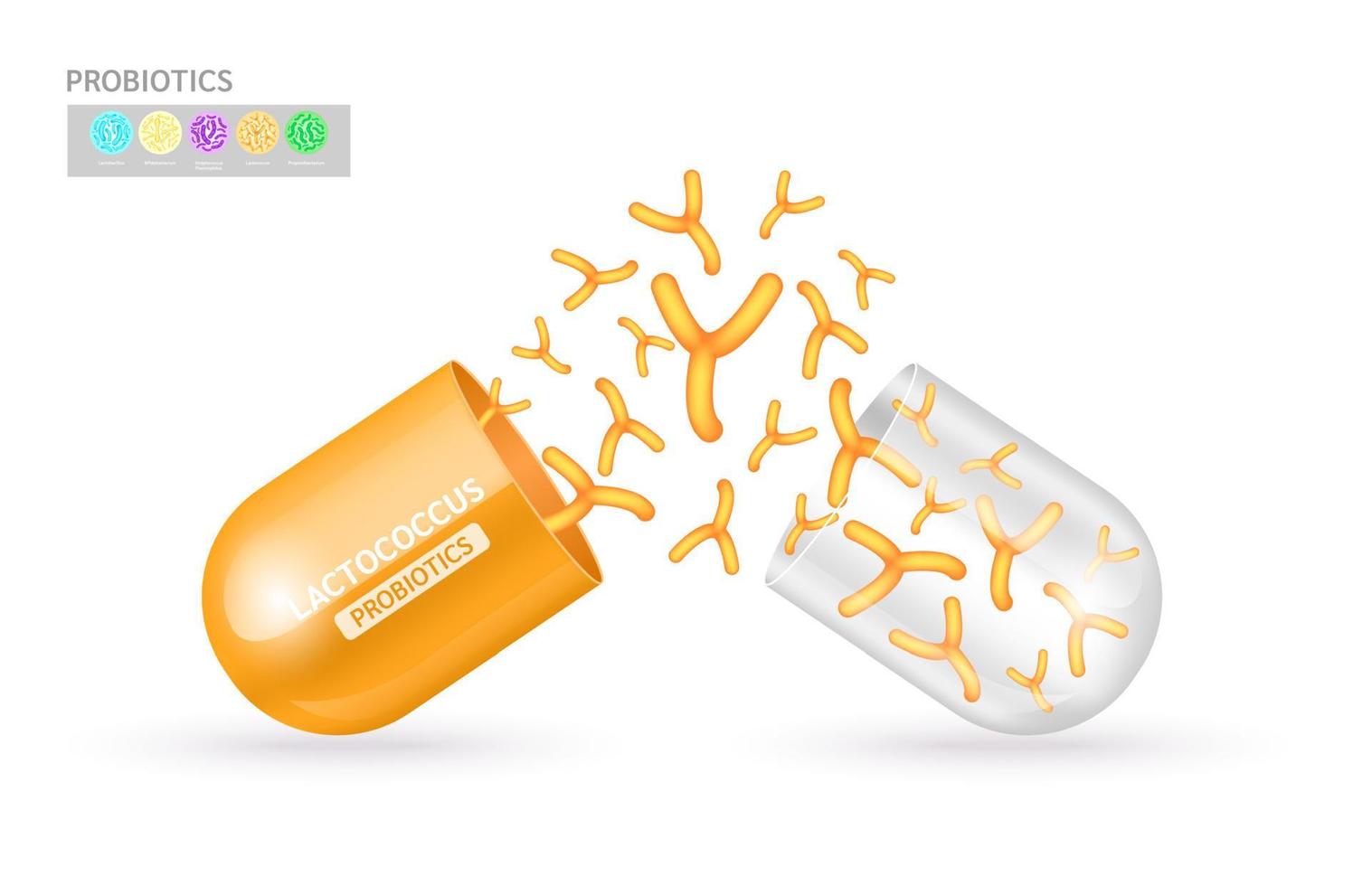 probióticos bacterias del ácido láctico en leche, yogur. lactococcus naranja dentro de la cápsula transparente. beneficios para la salud de tomar probióticos. concepto médico de salud digestiva. eps10 vectoriales. vector