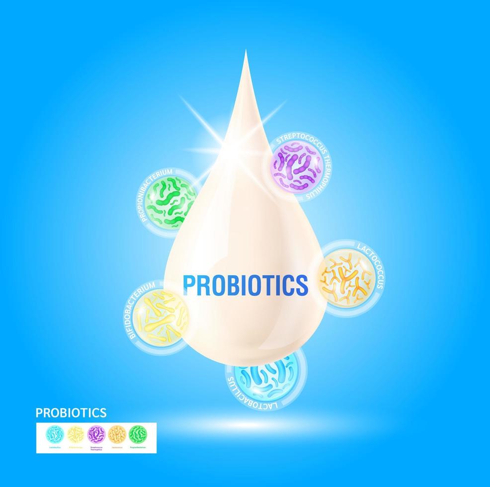 Probiotics lactic acid bacterium in milk, yogurt. Bifidobacterium, lactobacillus, streptococcus thermophilus, lactococcus, propionibacterium. Digestion healthcare concept. Vector EPS10.