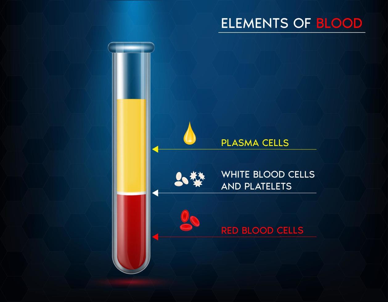 elementos de glóbulos rojos, plasma, sangre blanca y plaquetas en un tubo de vidrio. concepto de estructura de ciencia médica. realista con ilustración vectorial 3d. vector