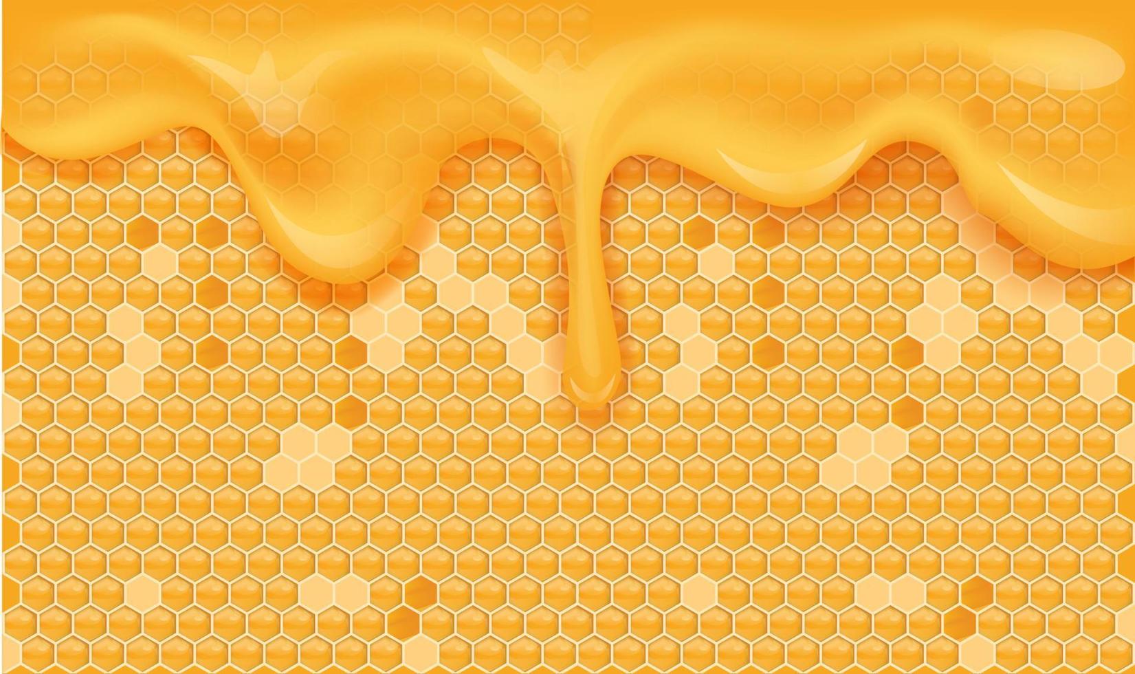 Yellow orange honeycomb background. Beehive with hexagon grid cells and flowing sweet honey drops. Geometric seamless texture. Realistic 3D vector illustration.