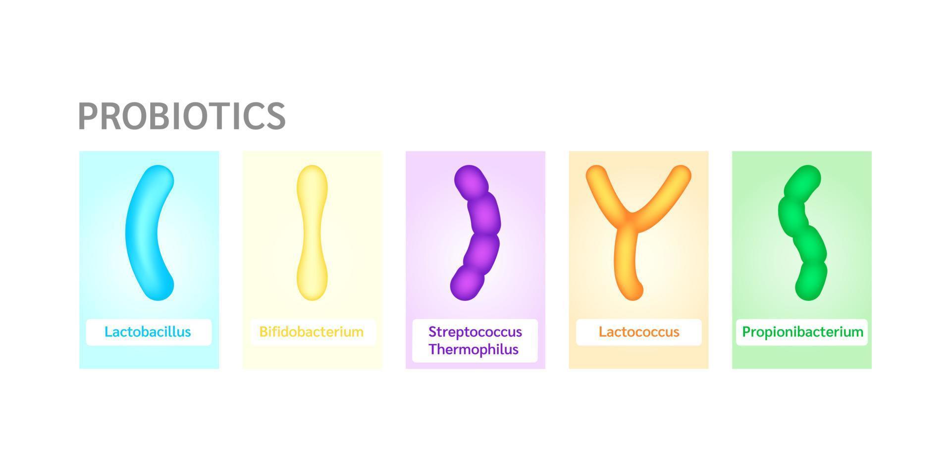 Probiotics lactic acid bacterium in milk, yogurt. Label Bifidobacterium, lactobacillus, streptococcus thermophilus, lactococcus, propionibacterium. Digestion healthcare concept. Vector EPS10.